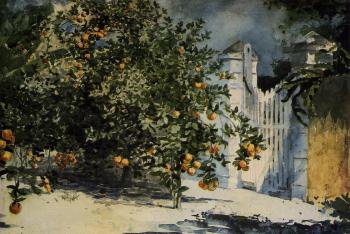 Winslow Homer : Orange Tree, Nassau